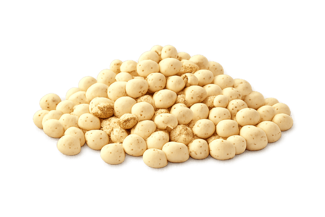 4 Suta Makhana raw makhana